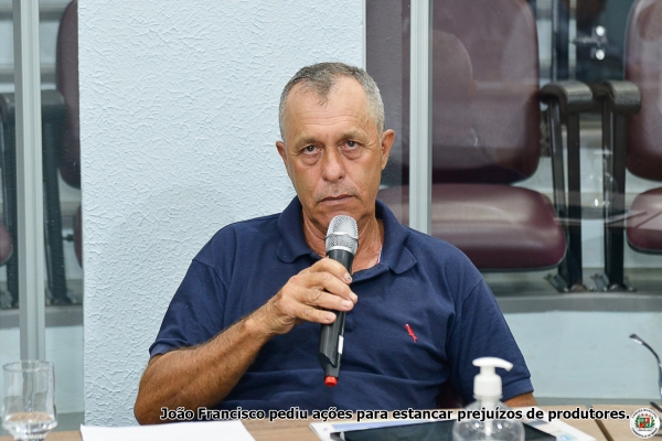 Continuam os furtos em lavouras de tomates