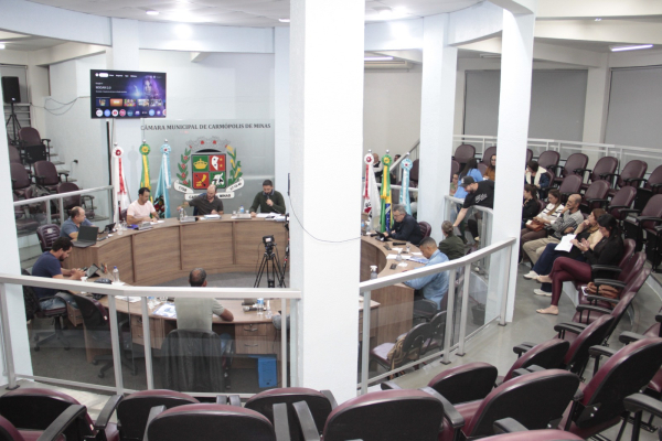 Reunião Ordinária (11/08/2025)