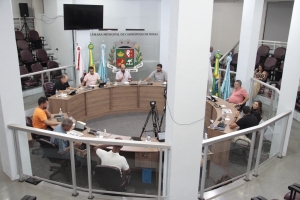 Reunião Ordinária (14/04/2025)